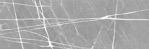 altacera/WT11CHS15_01