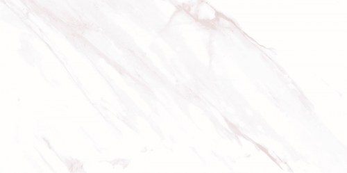 altacera/WT9ETE00_01