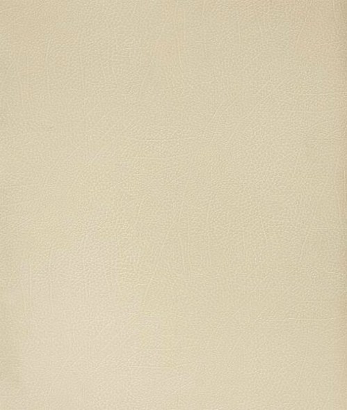 bspol/bison_sand_0