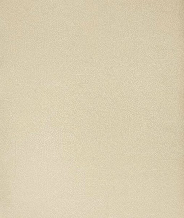 bspol/bison_sand_0