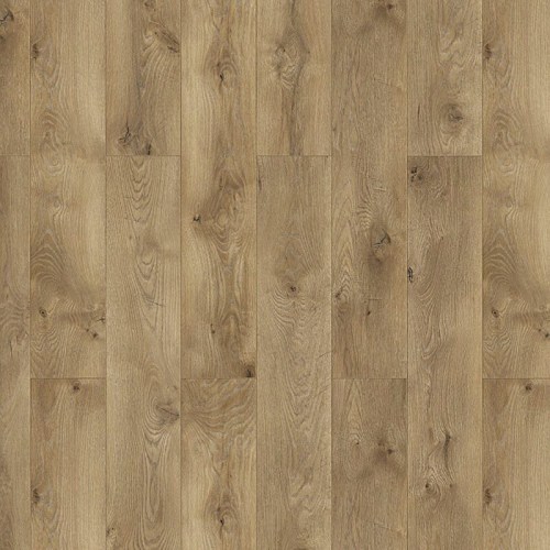 bspol/essentials-52717-kortina-1