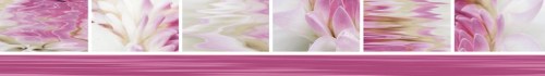mkplitka/05-51-333-0-fresh-bordyur-violetta-500x70_1393420441